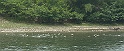 Li River32